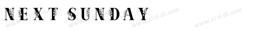 Next Sunday字体转换